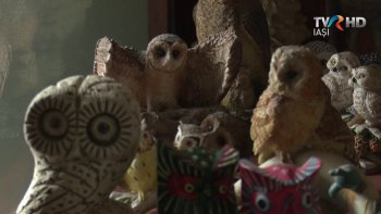 Romania Diversa - Visul Romanesc