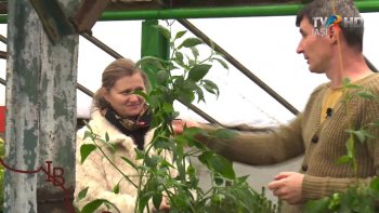 Identitate Basarabia - Sergiu Turcanu