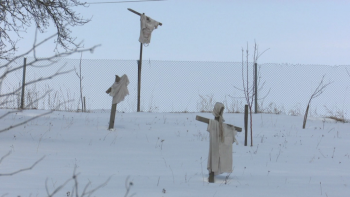 Reporter Special Viata ca o vesnica prada