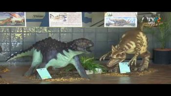 Descriptio Moldaviae - Galati