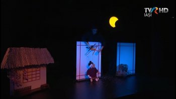 Cap de afiş - Dansul Delhi şi povestea japoneză