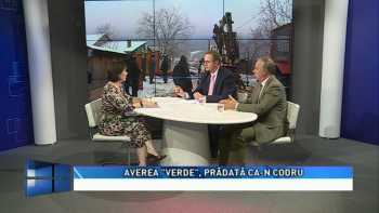 ACTUAL REGIONAL - Averea Verde, prădată ca-n codru (1 octombrie 2019)