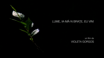 Lume, ia-ma in brate, eu vin