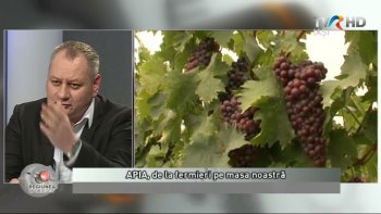 Regiunea in obiectiv - 19 martie 2021