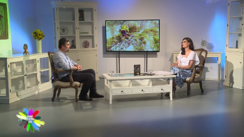 Vara pentru voi 12 august 2021