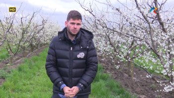 Reporter special - Zilieri... de sezon secetos