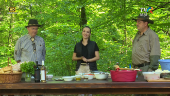 Descriptio Moldaviae - Scofeturi vânătoreşti şi vinuri din Avereşti