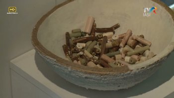 Racord, Fragmente Smaranda Bostan