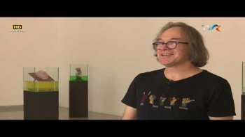 Racord: Dorin Baba, Dincolo de om