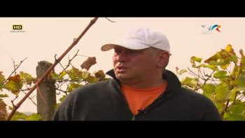 Identitate Basarabia - Radu Zaplitnii