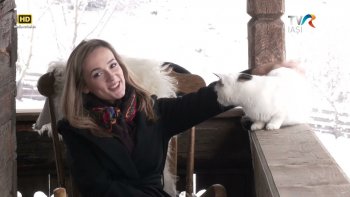 Descriptio Moldavie - La Saivan