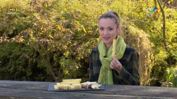 Descriptio Moldaviae - Cum a ajuns șvaițerul în Țara Dornelor?