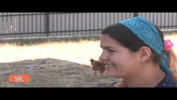 Vara pentru voi 2 septembrie 2022