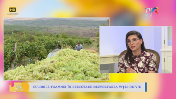 Vara pentru voi - 16 septembrie 2022