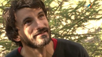 Descriptio Moldaviae, Editia pe verticala