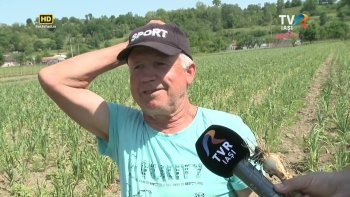 Satul meu - Mistere și lucruri normale în județul Botoșani