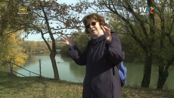 Scriitor cu amănuntul - Mariana Codruț