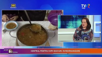 Accent Regional - Închiderea centrelor de plasament clasice și construirea de case de tip familial