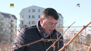 Satul meu - Sfârșit de iarnă în vii și livezi