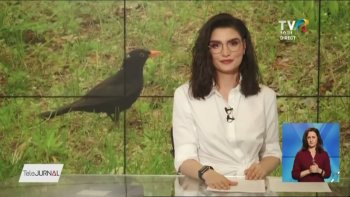 Telejurnal regional TVR Iași - 1 aprilie 2024