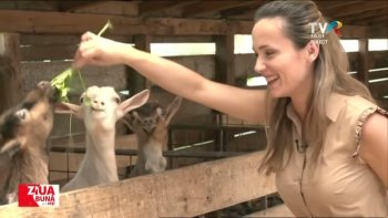 Ziua bună de la Iași - 11 aprilie 2024