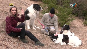 Descriptio Moldaviae - Povestea ciobănescului românesc de Bucovina