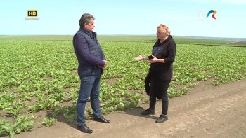 Satul meu - Secretele antreprenorului de succes