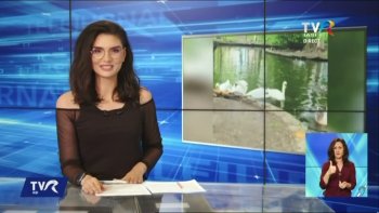 Telejurnal regional TVR Iași - 23 mai 2024