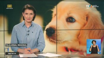 Telejurnal regional TVR 3 - 19 septembrie 2025