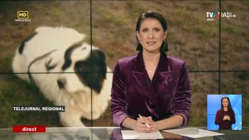 Telejurnal regional TVR Iași - 6 octombrie 2025