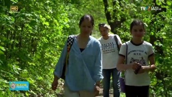 Dimineti perfecte 15 octombrie 2025