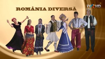 Romania Diversa - Bratara de pamant