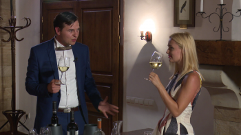 Descriptio Moldaviae - Purcari, împărăţia vinului